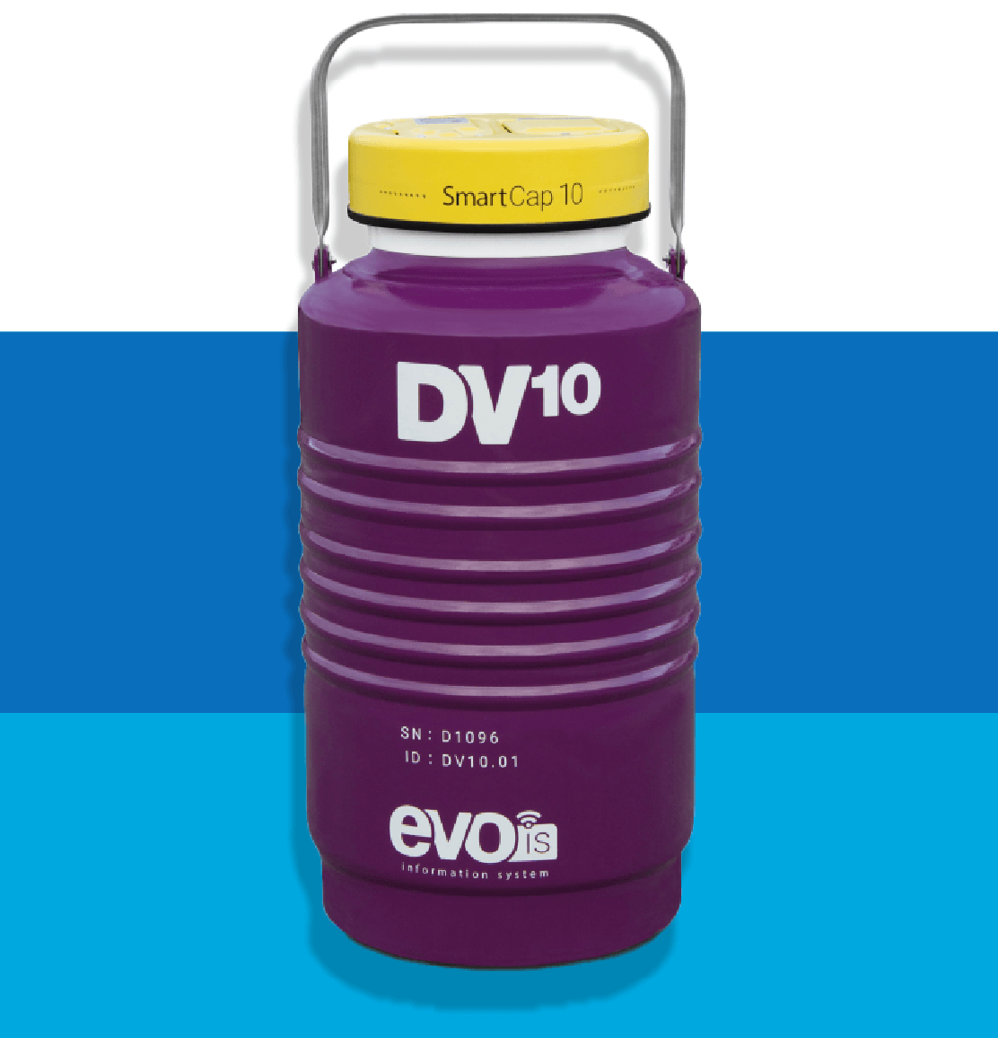 DV10