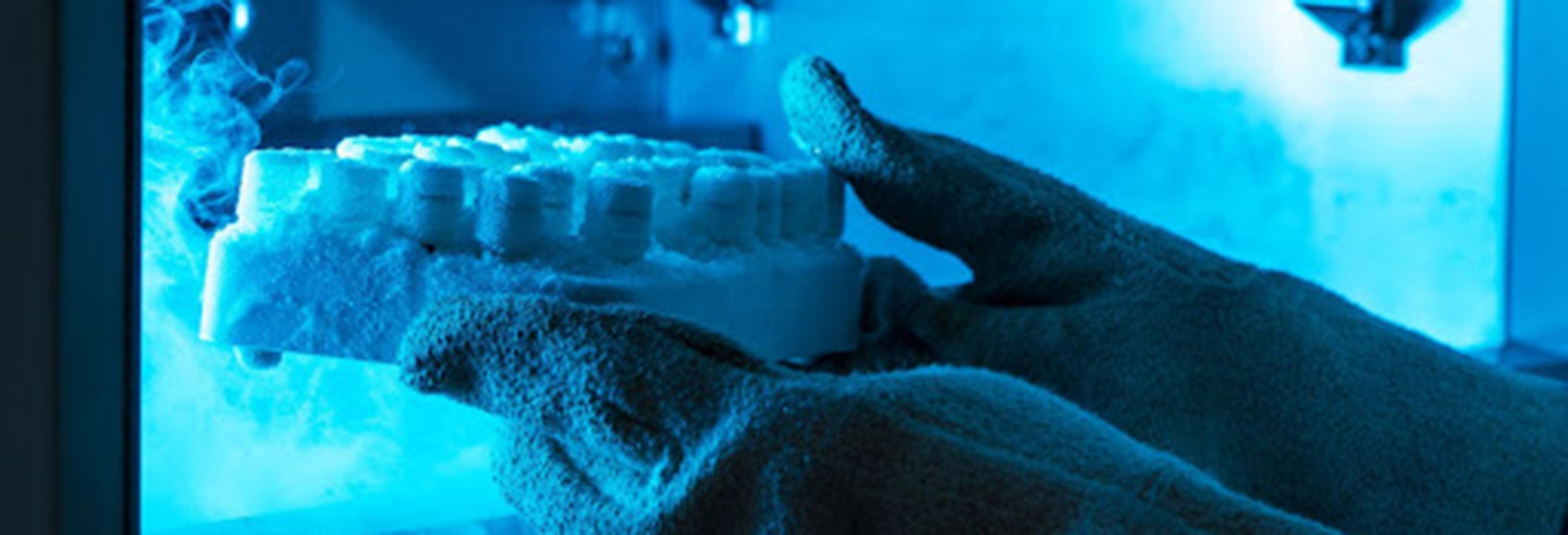 How Cryogenic Storage Works with Liquid and Vapor Nitrogen