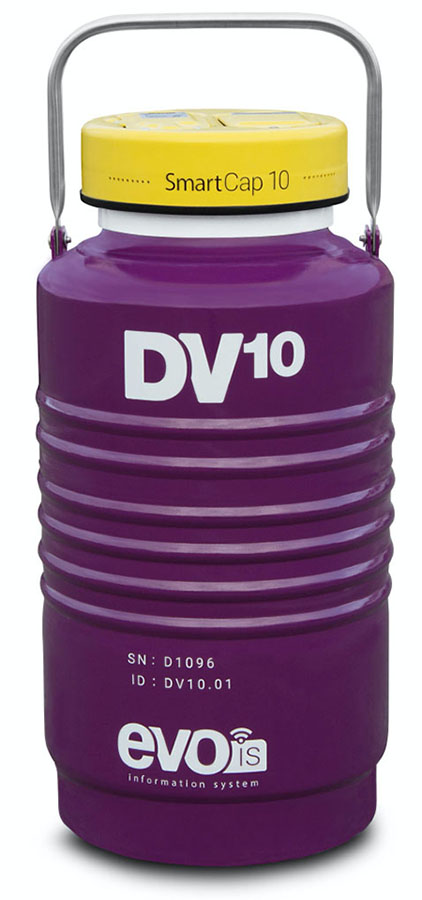 DV10_1019
