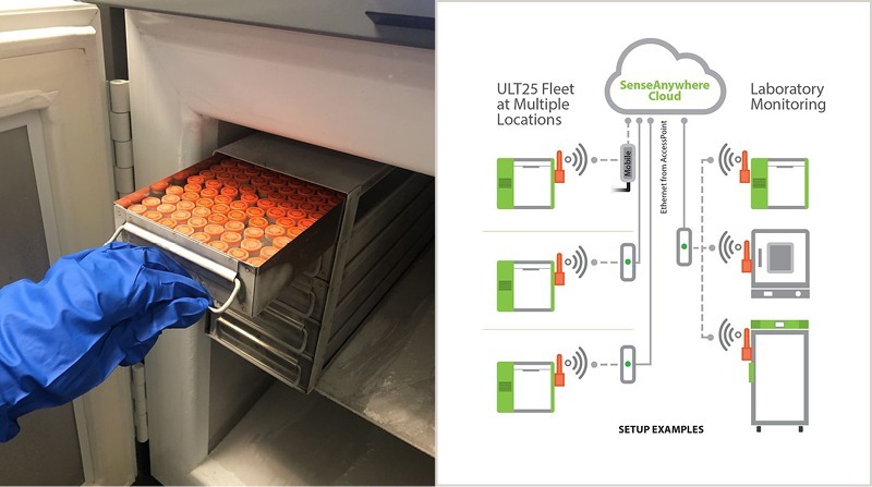 hand pulling rack of vials from freezer