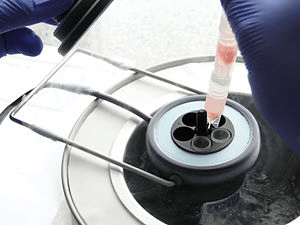 How to Collect and Preserve Tissue Samples - Biolife Solutions