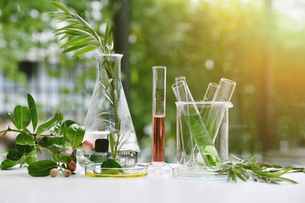 lab items on a table with greenery in the background