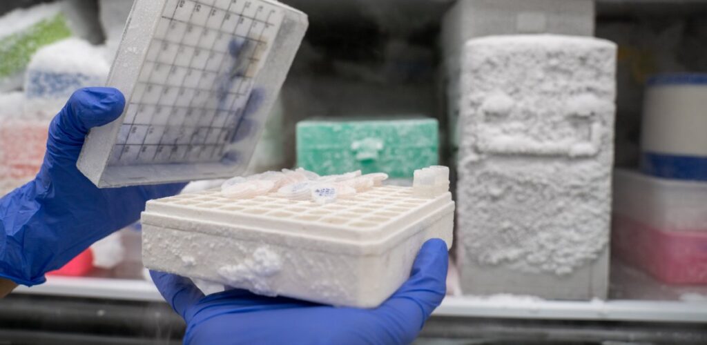 gloves holding cold rack of vials