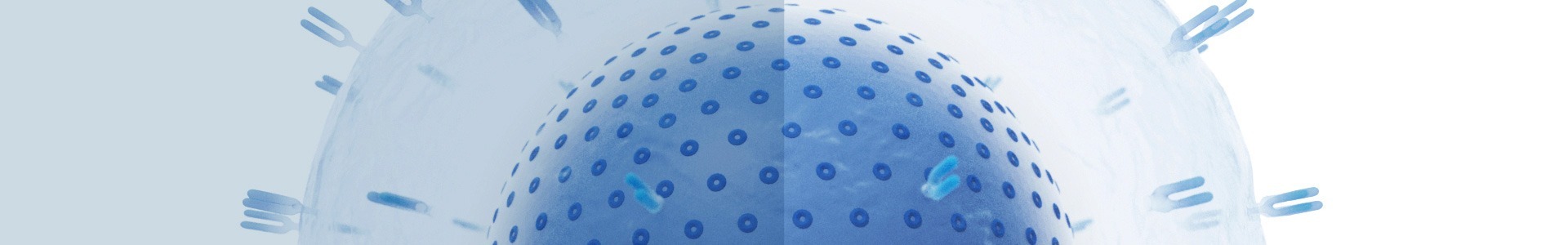blue 3D T-Cell Image