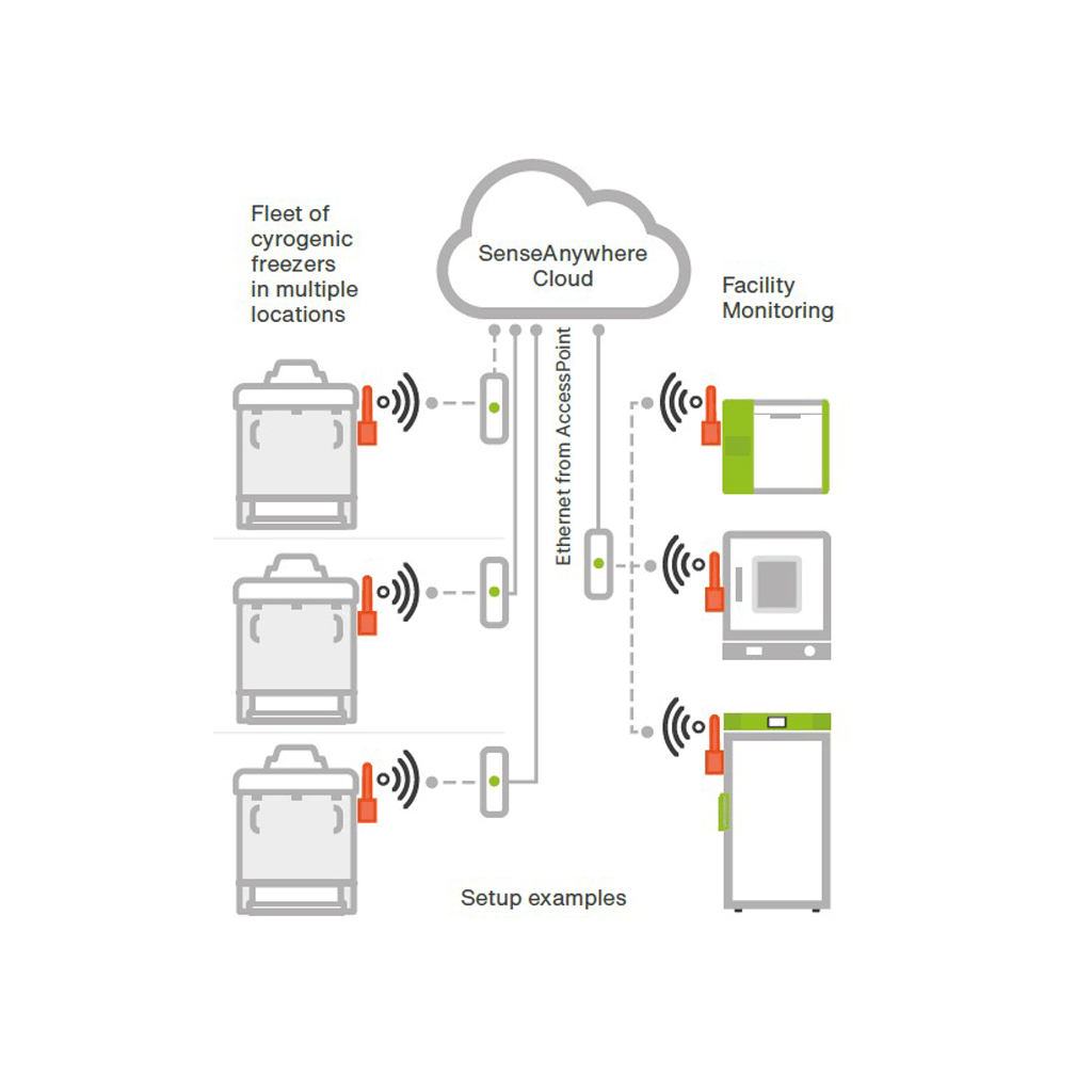 sense anywhere graphic