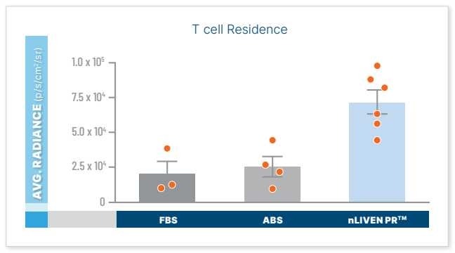 BL T-Liven Solid Tumor Increased T-Cell Residence Quantification